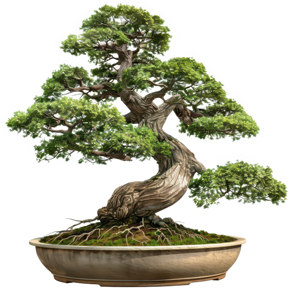 adding-a-plus-to-investments